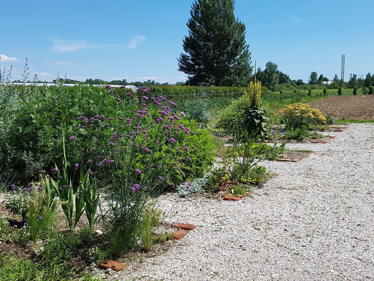 Agriturismo Frascje Dai Spadons Villa Pradamano Екстериор снимка
